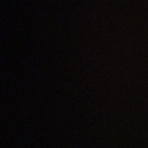 Meet your Posher, Lily